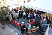 Foto 11 di 45
