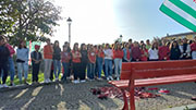 Foto 31 di 46