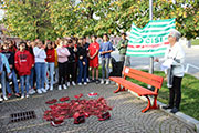 Foto 41 di 46