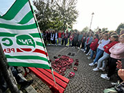 Foto 8 di 46