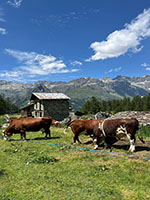 Foto 20 di 24