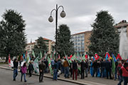 Foto 9 di 15