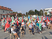 Foto 5 di 14