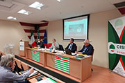 Foto 10 di 12