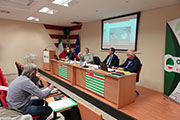 Foto 6 di 12