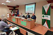 Foto 7 di 12