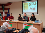 Foto 8 di 24