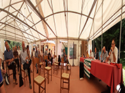 Foto 5 di 15