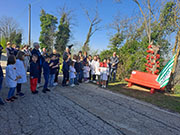 Foto 13 di 38