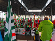 Foto 5 di 16