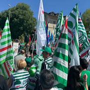 Foto 10 di 10