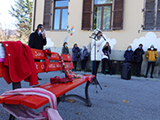 Foto 7 di 36