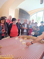 Foto 15 di 54