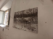 Foto 19 di 54