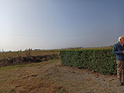 Foto 6 di 54