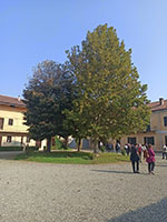 Foto 8 di 54
