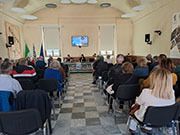Foto 11 di 37