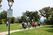 Foto 1 di 43