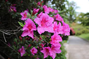 Foto 10 di 43