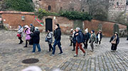 Foto 7 di 8
