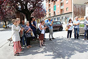 Foto 8 di 55
