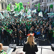 Foto 6 di 11