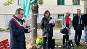Foto 2 di 17