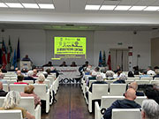 Foto 8 di 15